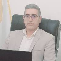 رضا محمدزاده